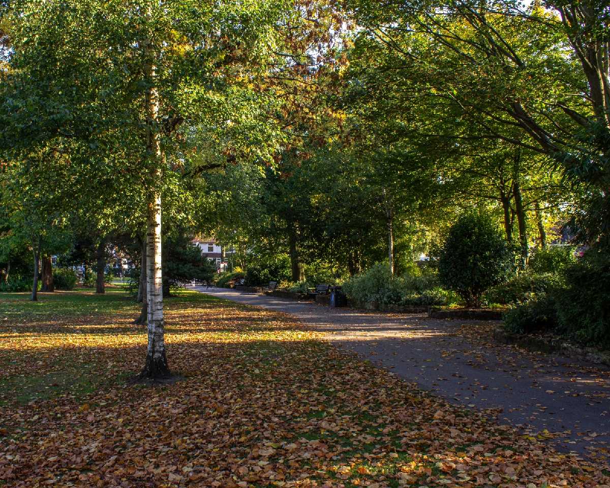 Autumn leaves on the path. Kings Heath Park.